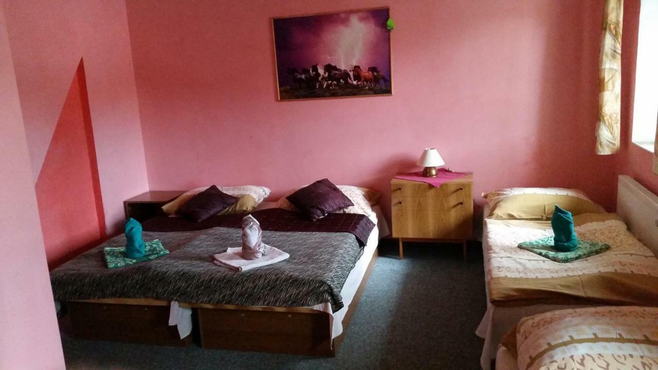 Penzion Pegas Depoltovice Nova Role Bagian luar foto